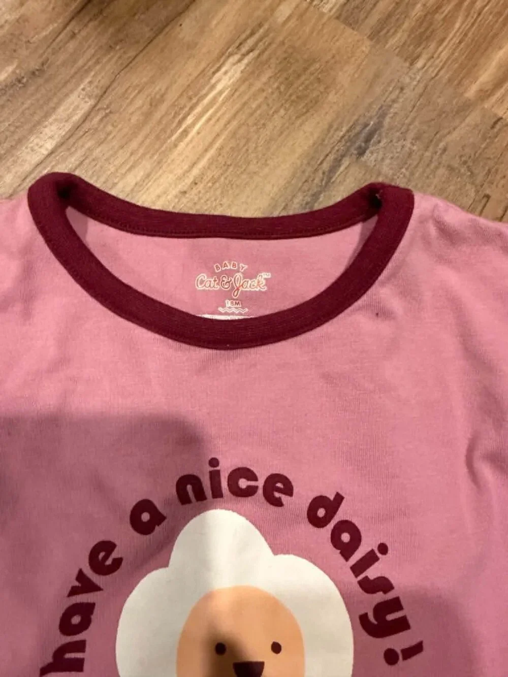 Baby Girl Clothing Bundle 18 Months